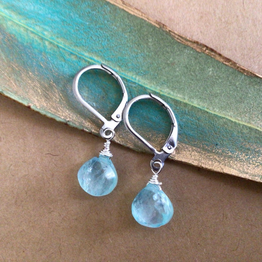 Natural Aquamarine Sundance Charm Earrings - Picture 12 of 12